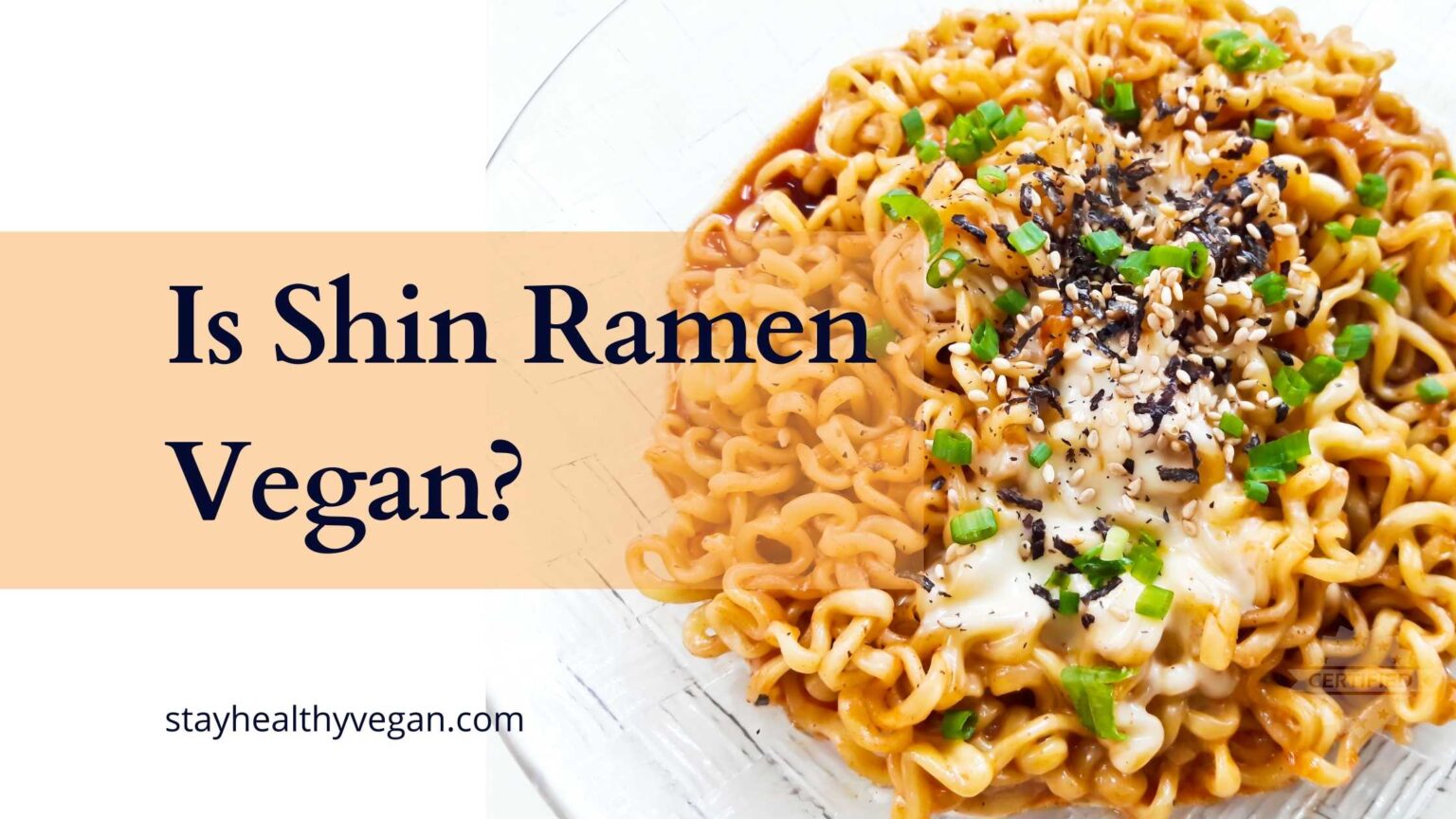 Are Ramen Noodles Vegan? The Noodles Often Are — The Seasoning Packet Usually Isn't